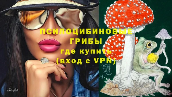 спиды Няндома