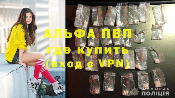 спиды Няндома