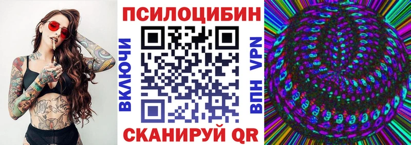 закладки  Сольвычегодск  Галлюциногенные грибы прущие грибы 