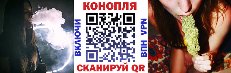 Бошки марихуана марихуана  купить  сайты  Сольвычегодск 
